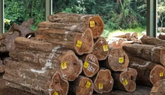 harga furniture jepara, interior furniture jepara, jepara garden furniture, jepara interior furniture, jepara international furniture, jepara outdoor furniture, jual furniture jepara, pengalaman beli furniture di jepara, pengrajin furniture jepara, perusahaan furniture di jepara, perusahaan furniture jepara, perusahaan furniture terbesar di jepara